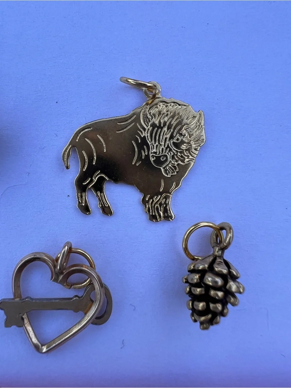 Gold Tone Small Charm Mix - Heart, Pinecone, Buffalo & More - Picture 8 of 9